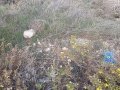 10348_144120.jpg